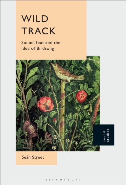 Wild Track - Sound, Text and the Idea of Birdsong