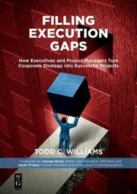 Filling Execution Gaps - How Executives and Project Managers Turn Corporate Strategy into Successful Projects