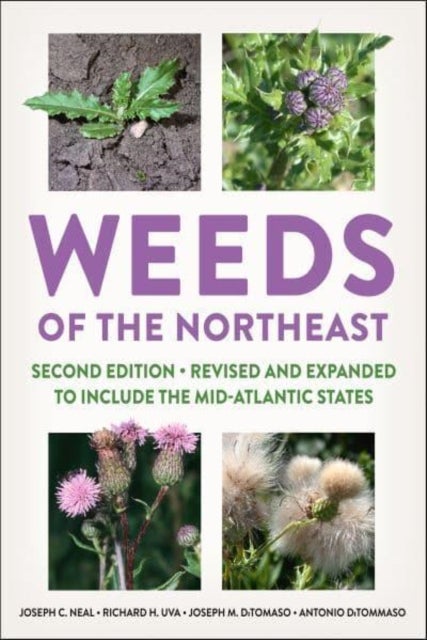 Bilde av Weeds Of The Northeast Av Joseph C. Neal, Richard H. Uva, Joseph M. Ditomaso, Antonio Ditommaso