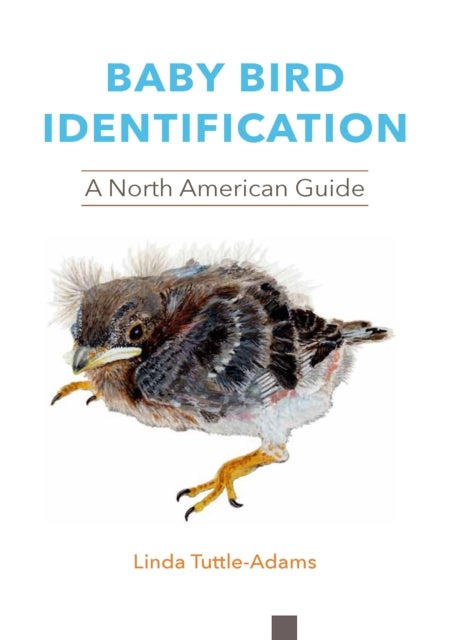 Bilde av Baby Bird Identification Av Linda Tuttle-adams