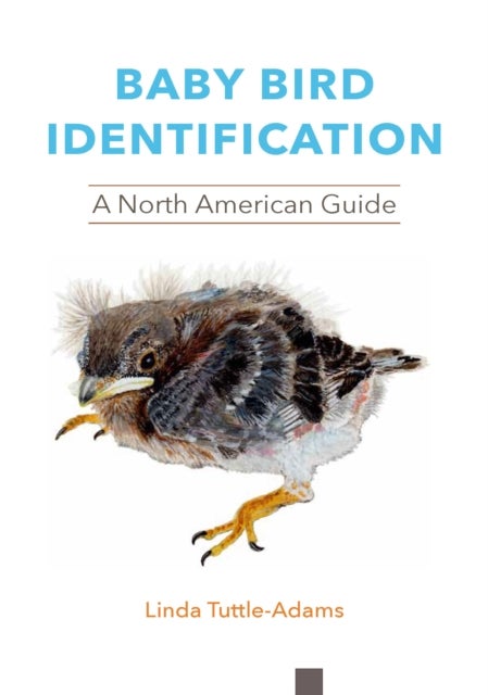 Baby Bird Identification - A North American Guide