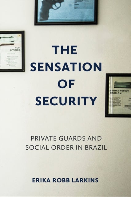 The Sensation of Security - Private Guards and Social Order in Brazil