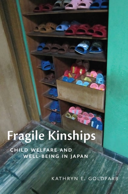 Fragile Kinships - Child Welfare and Well-Being in Japan