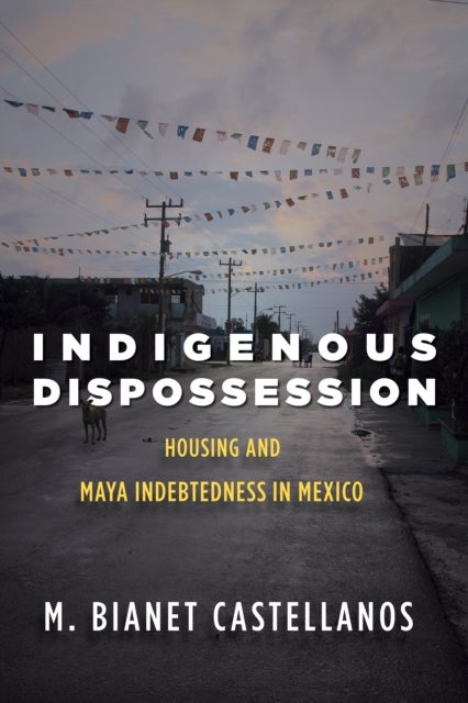 Indigenous Dispossession - Housing and Maya Indebtedness in Mexico