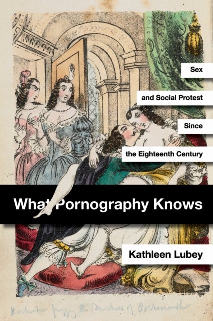 What Pornography Knows - Sex and Social Protest since the Eighteenth Century