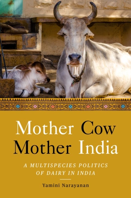 Mother Cow, Mother India - A Multispecies Politics of Dairy in India