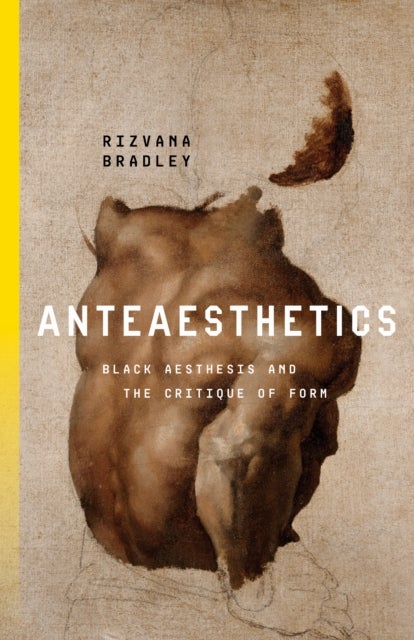 Anteaesthetics - Black Aesthesis and the Critique of Form