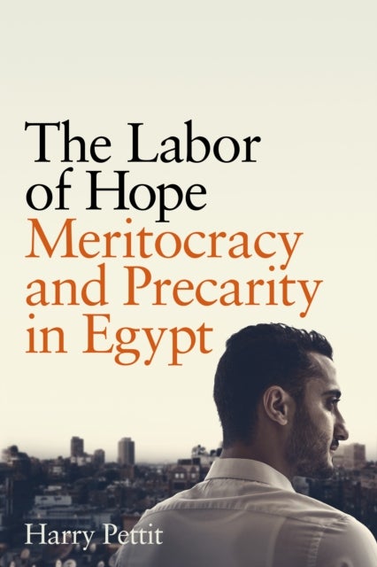 The Labor of Hope - Meritocracy and Precarity in Egypt
