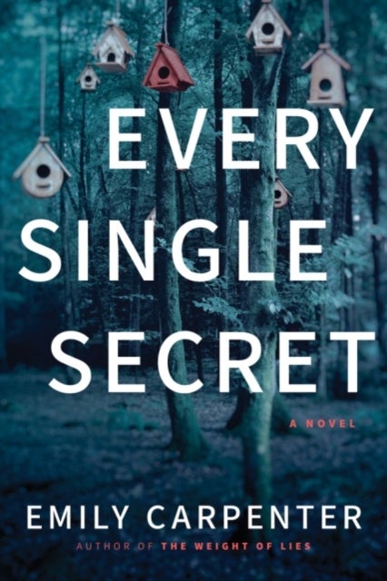Every Single Secret - A Novel