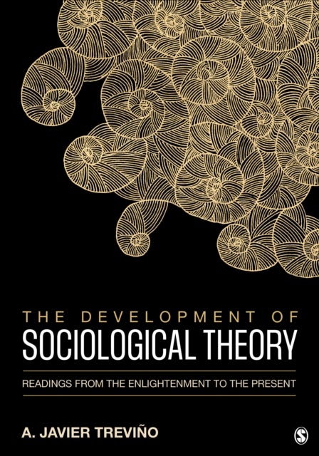 Bilde av The Development Of Sociological Theory