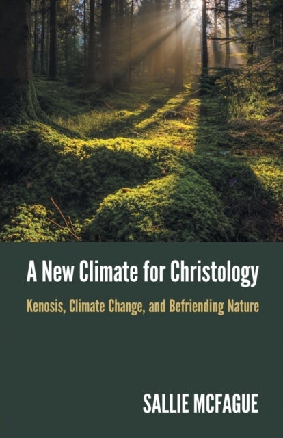 Bilde av A New Climate For Christology Av Sallie Mcfague
