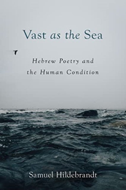 Vast as the Sea - Hebrew Poetry and the Human Condition
