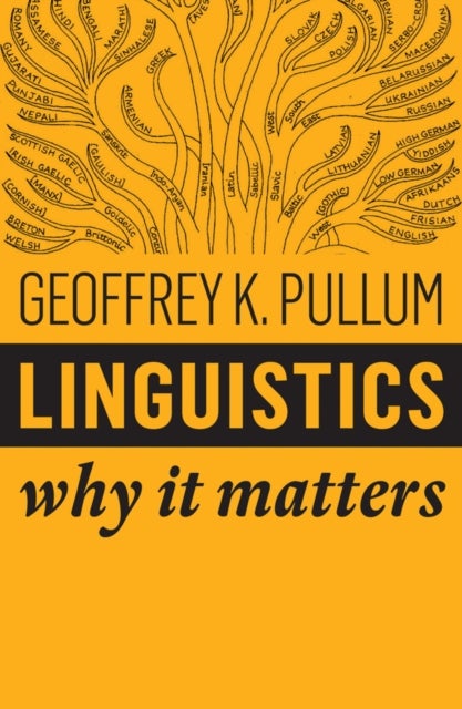 Linguistics - Why It Matters