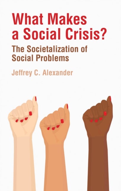 What Makes a Social Crisis? - The Societalization of Social Problems