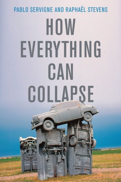 Bilde av How Everything Can Collapse Av Pablo Servigne, Raphael Stevens