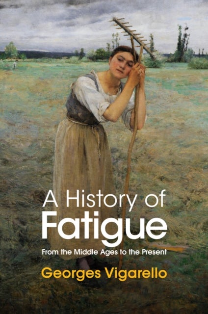 A History of Fatigue - From the Middle Ages to the Present