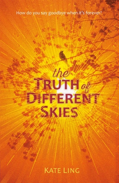 Ventura Saga: The Truth of Different Skies - Book 3
