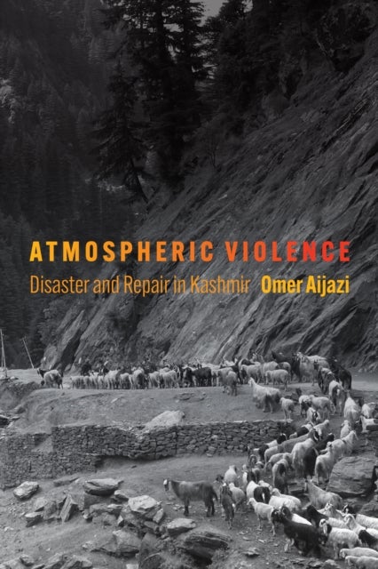 Atmospheric Violence - Disaster and Repair in Kashmir