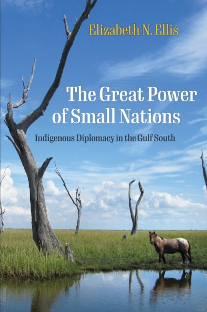 The Great Power of Small Nations - Indigenous Diplomacy in the Gulf South