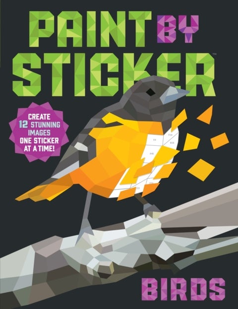 Paint by Sticker: Birds - Create 12 Stunning Images One Sticker at a Time!
