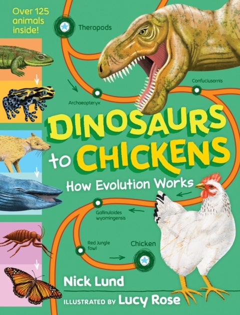 Dinosaurs to Chickens - How Evolution Works