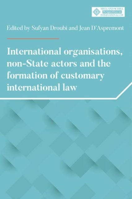 Bilde av International Organisations, Non-state Actors, And The Formation Of Customary International Law