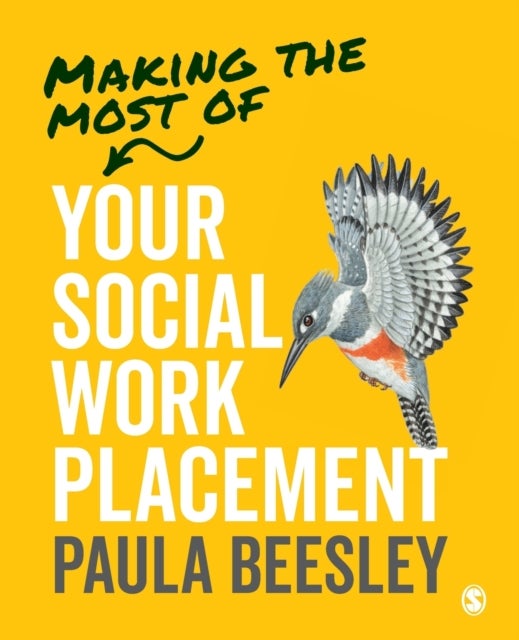 Bilde av Making The Most Of Your Social Work Placement Av Paula Beesley