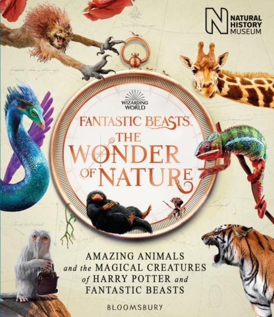 Bilde av Fantastic Beasts: The Wonder Of Nature : Amazing Animals And The Magical Creatures Of Harry Potter A Av Natural History Museum