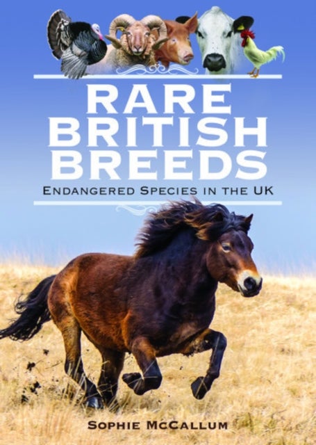Rare British Breeds - Endangered Species in the UK