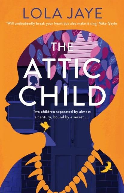 The Attic Child - A powerful and heartfelt historical novel, shortlisted for the Diverse Book Awards