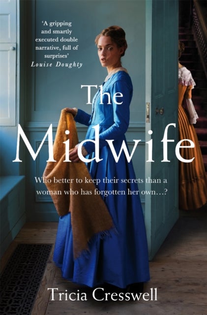 The Midwife - A Hauntingly Beautiful and Heartbreaking Historical Fiction