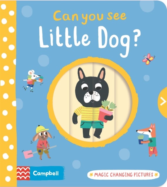 Bilde av Can You See Little Dog? Av Campbell Books
