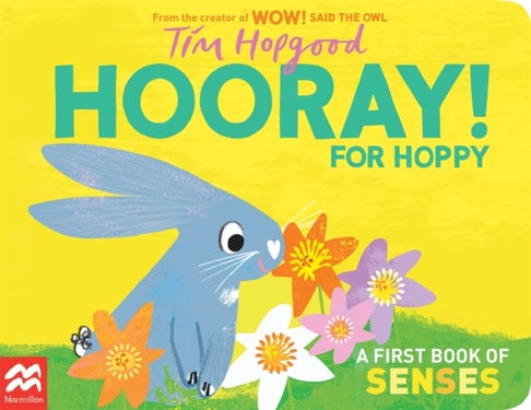 Hooray for Hoppy - A First Book of Senses