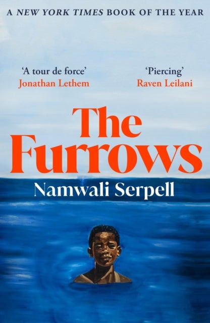 The Furrows - From the Prize-winning author of The Old Drift