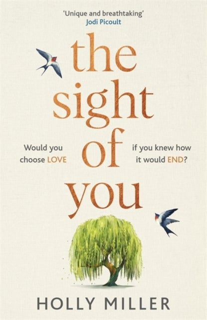 The Sight of You - An unforgettable love story and Richard & Judy Book Club pick