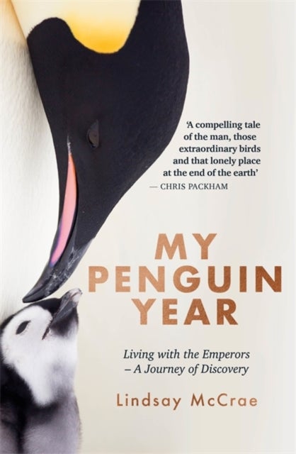 My Penguin Year - Living with the Emperors - A Journey of Discovery