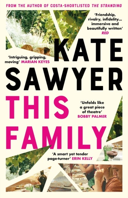 This Family - the compelling and beautifully written story of family drama and motherhood