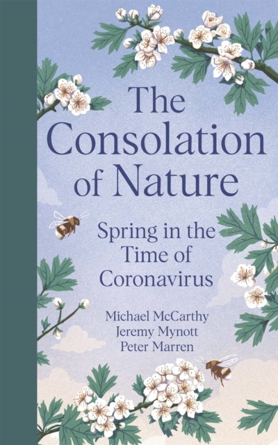 The Consolation of Nature - Spring in the Time of Coronavirus
