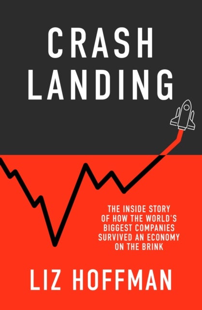 Crash Landing - The Inside Story Of How The World's Biggest Companies Survived An Economy On The Brink