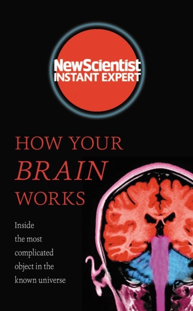 How Your Brain Works - Inside the most complicated object in the known universe
