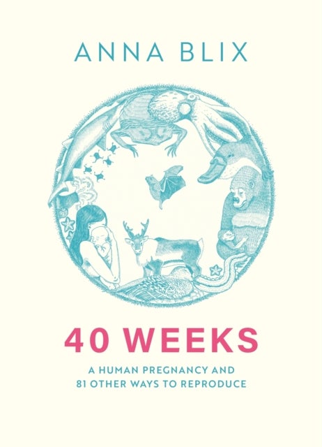 40 Weeks - A Human Pregnancy and 81 Other Ways to Reproduce