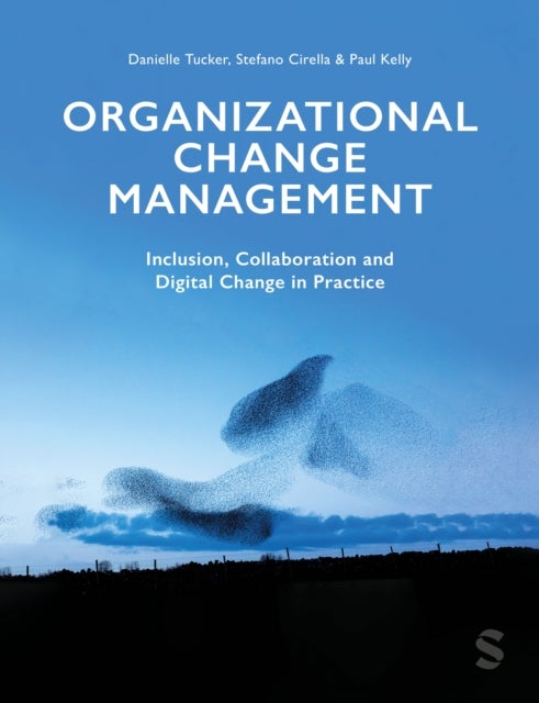 Bilde av Organizational Change Management Av Danielle A Tucker, Stefano Cirella, Paul R Kelly