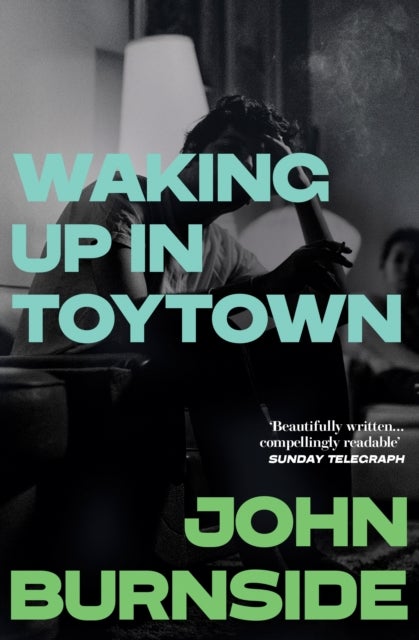 Waking Up in Toytown - A Memoir