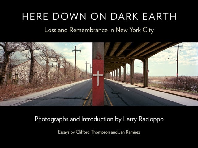 Here Down on Dark Earth - Loss and Remembrance in New York City