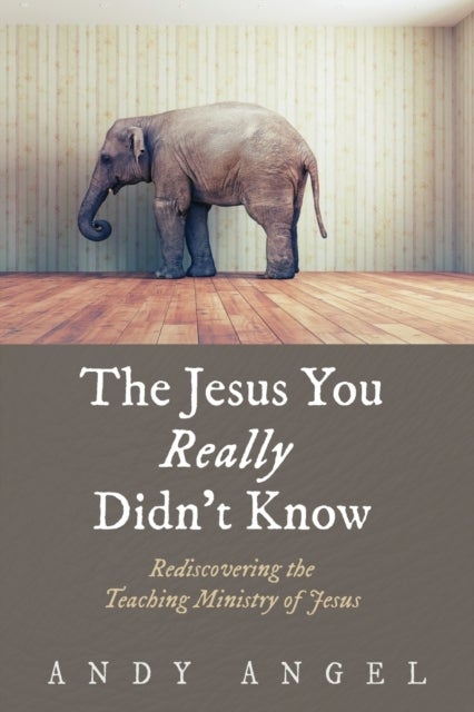 The Jesus You Really Didn't Know - Rediscovering the Teaching Ministry of Jesus