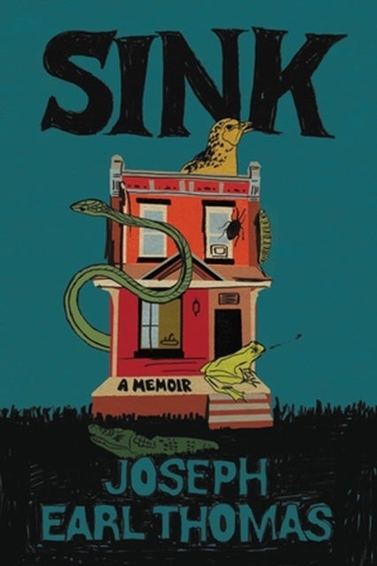 Sink - A Memoir