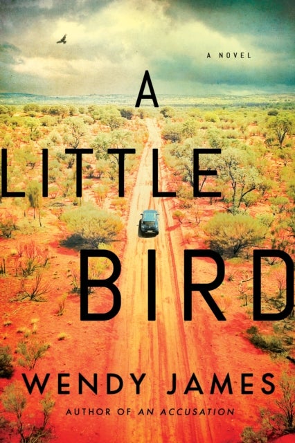 A Little Bird - A Novel