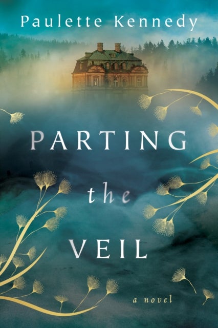 Parting the Veil - A Novel