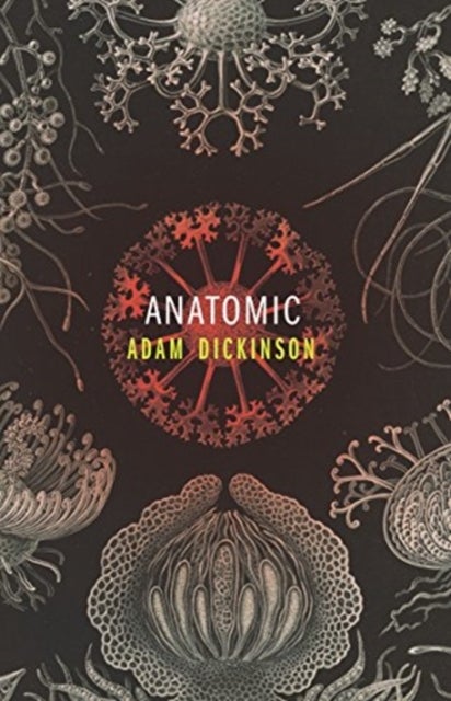 Bilde av Anatomic Av Adam Dickinson