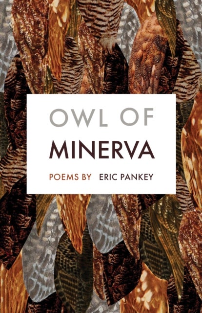 Owl of Minerva - Poems